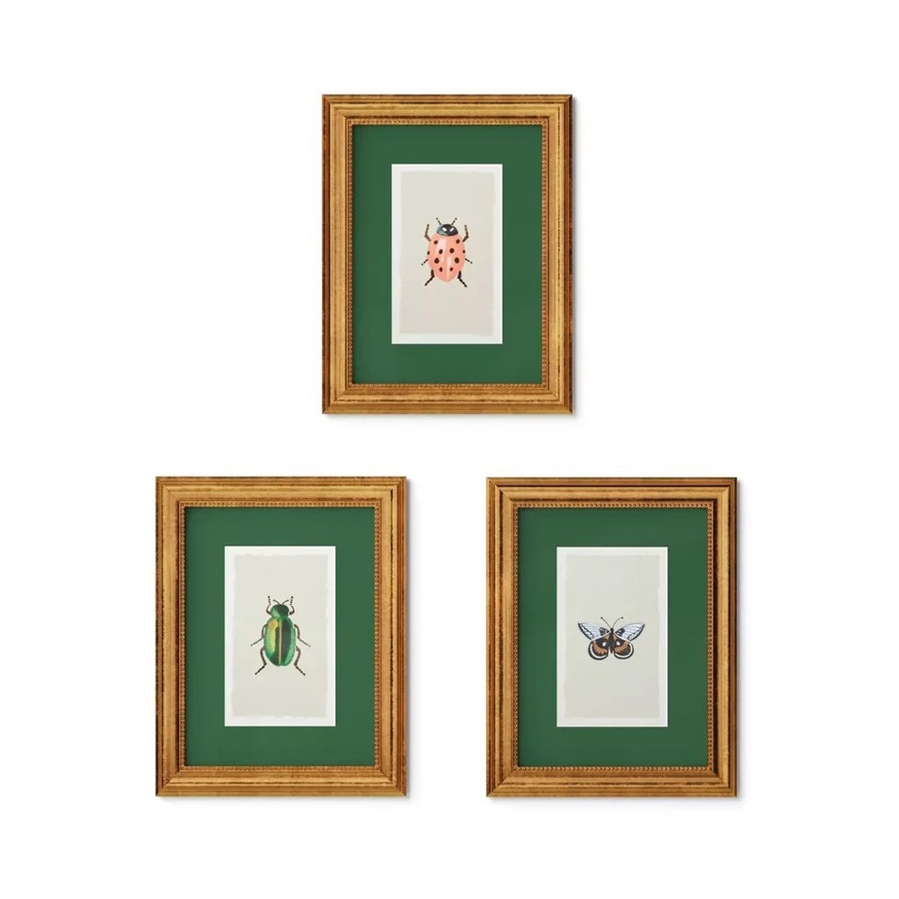 Rifle Paper Co. x Target Gold Foil Insect Framed Wall Art Set of 3